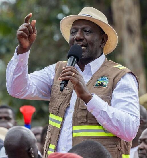 President William Ruto speaks during a past rally. Photo: Courtesy